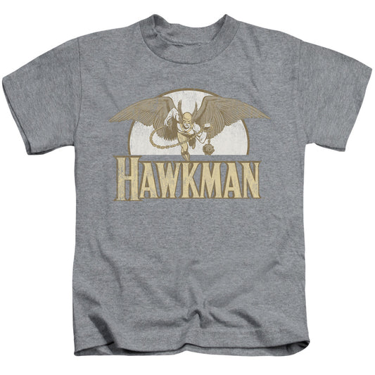 DC Comics Fly by Juvenile Kids Youth T Shirt Athletic Heather 