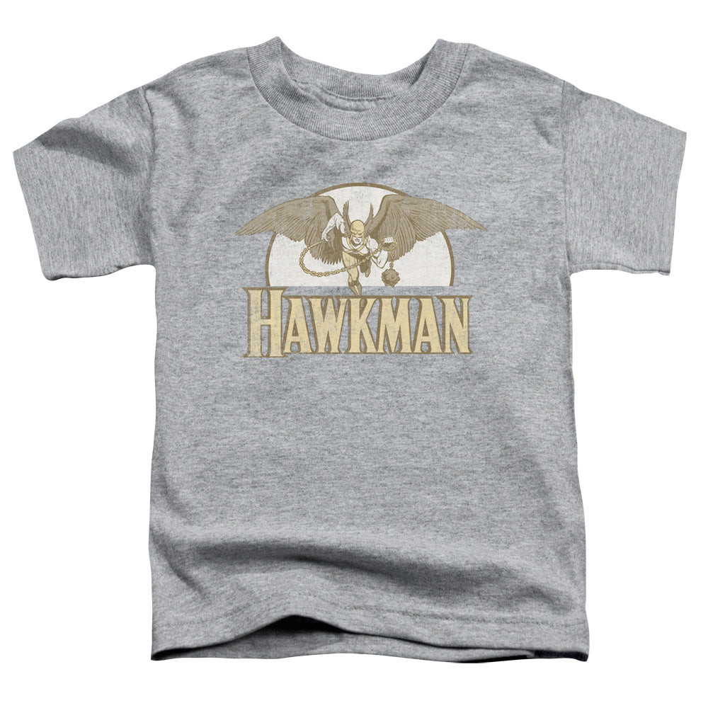 DC Comics Fly by Toddler Kids Youth T Shirt Athletic Heather