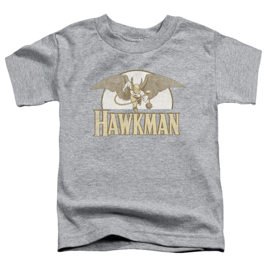 DC Comics Fly by Toddler Kids Youth T Shirt Athletic Heather