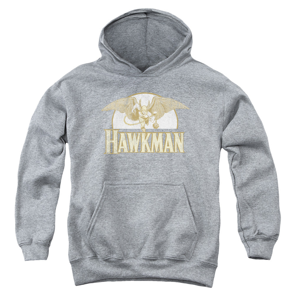 DC Comics Fly by Kids Youth Hoodie Heather