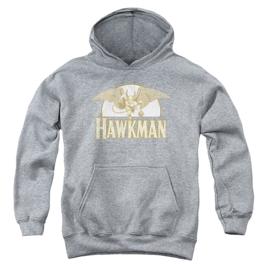 DC Comics Fly by Kids Youth Hoodie Heather