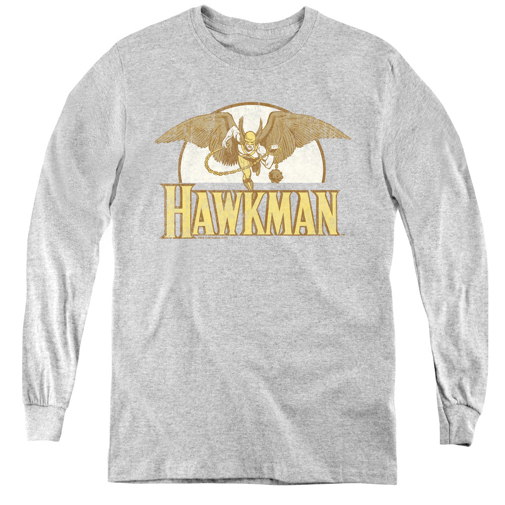 DC Comics Fly by Long Sleeve Kids Youth T Shirt Athletic Heather