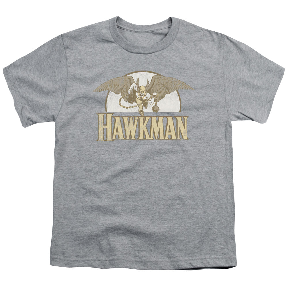 DC Comics Fly by Kids Youth T Shirt Athletic Heather