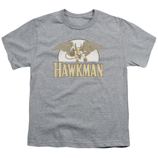 DC Comics Fly by Kids Youth T Shirt Athletic Heather