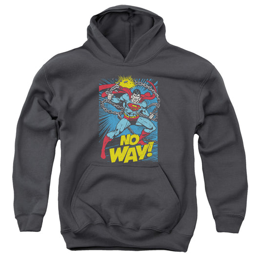 DC Comics No Way Kids Youth Hoodie Charcoal