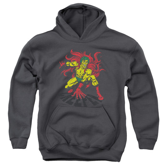 DC Comics Creeper Kids Youth Hoodie Charcoal