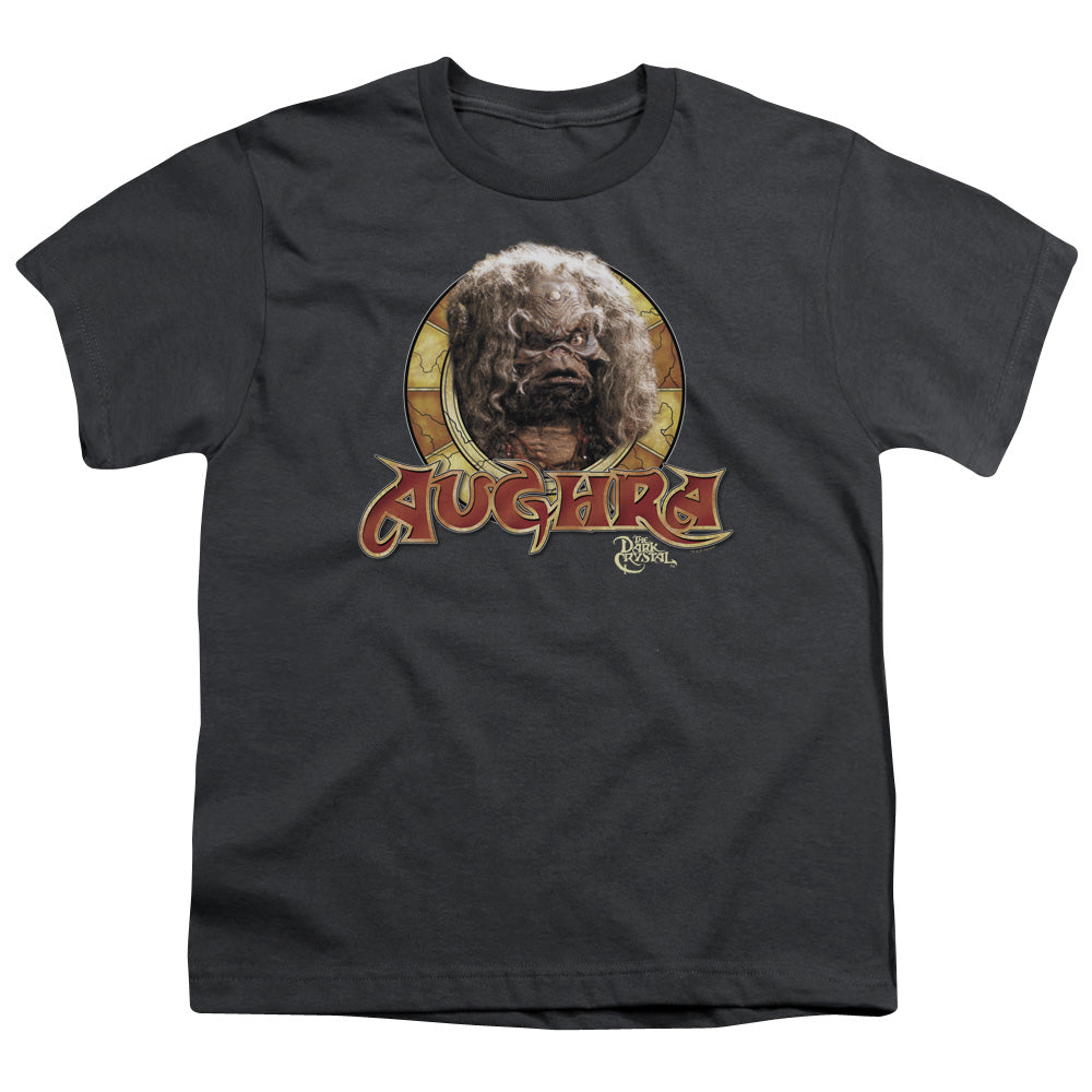 The Dark Crystal Aughra Circle Kids Youth T Shirt Charcoal