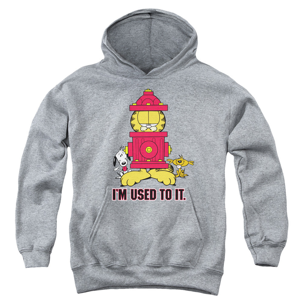 Garfield Im Used to It Kids Youth Hoodie Heather