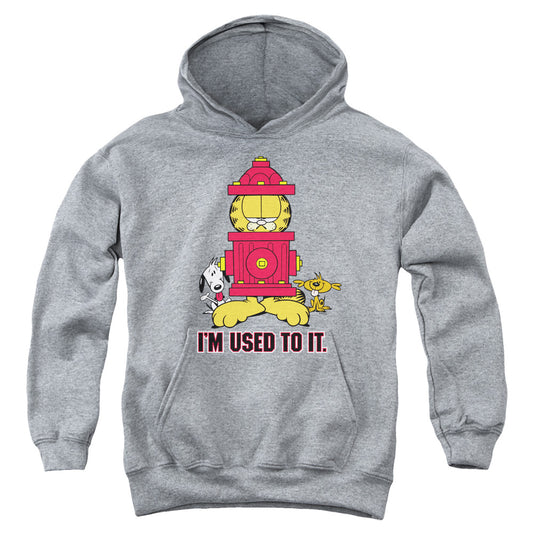 Garfield Im Used to It Kids Youth Hoodie Heather
