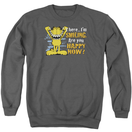 Garfield Iling Mens Crewneck Sweatshirt Charcoal