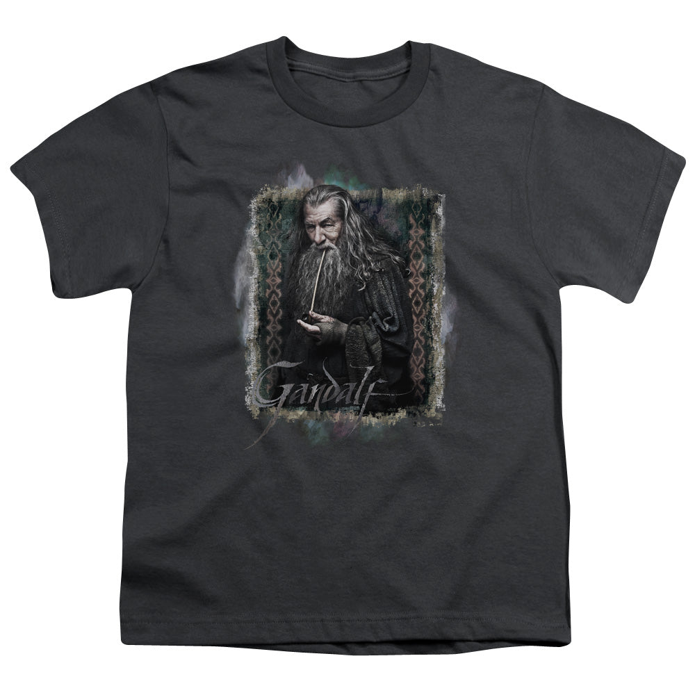 The Hobbit Gandalf Kids Youth T Shirt Charcoal