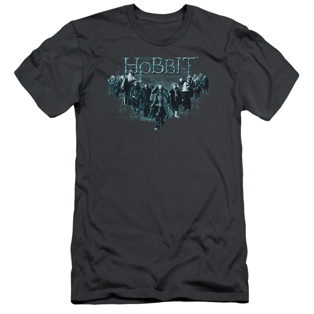 The Hobbit Thorin and Company Slim Fit Mens T Shirt Charcoal