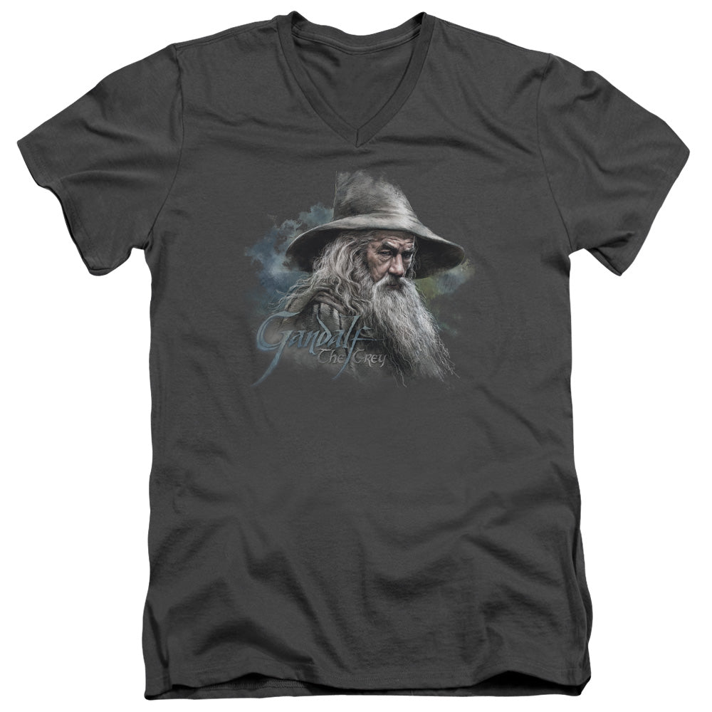 The Hobbit Gandalf the Grey Mens Slim Fit V-Neck T Shirt Charcoal