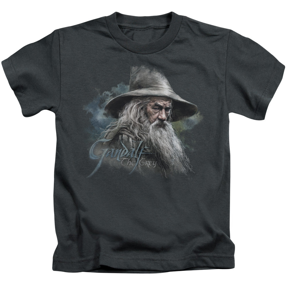 The Hobbit Gandalf the Grey Juvenile Kids Youth T Shirt Charcoal