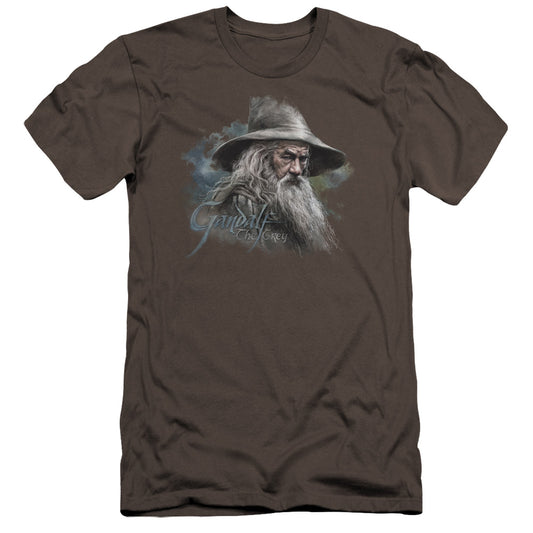 The Hobbit Gandalf the Grey Premium Bella Canvas Slim Fit Mens T Shirt Charcoal