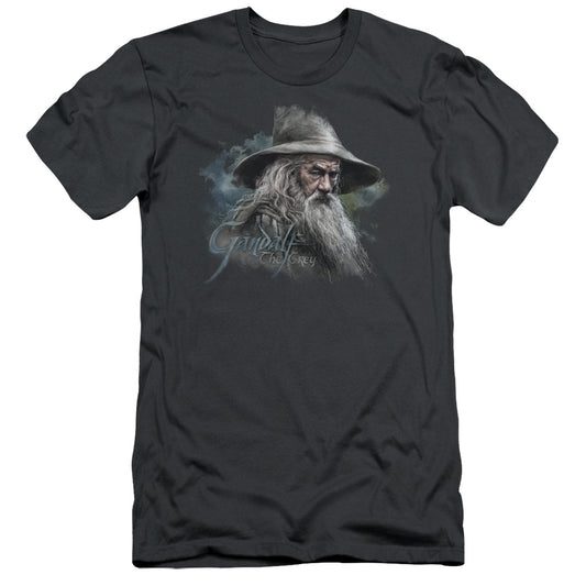 The Hobbit Gandalf the Grey Slim Fit Mens T Shirt Charcoal