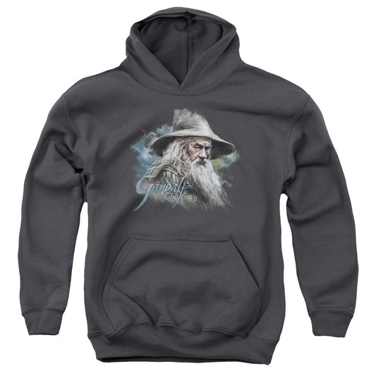 The Hobbit Gandalf the Grey Kids Youth Hoodie Charcoal