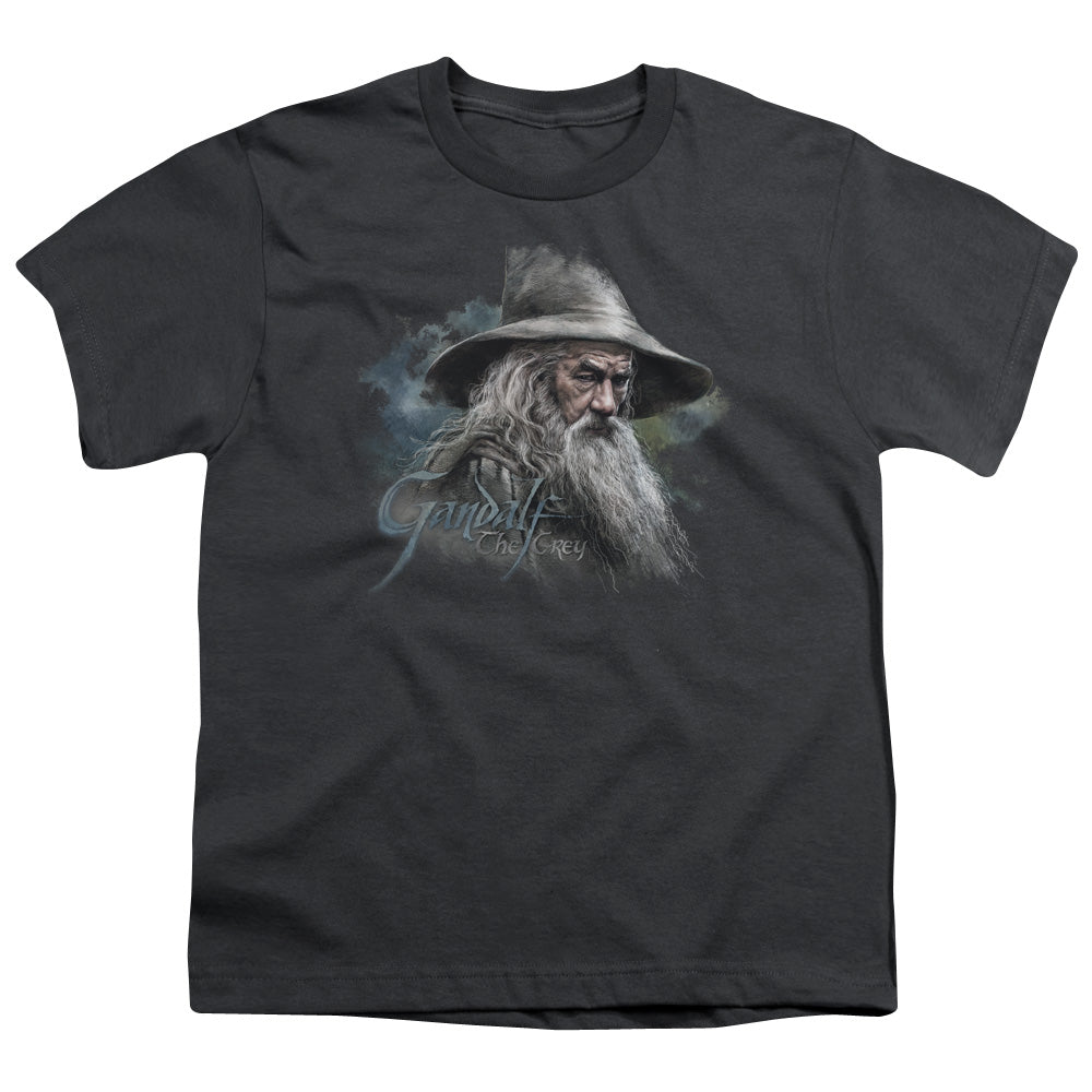 The Hobbit Gandalf the Grey Kids Youth T Shirt Charcoal