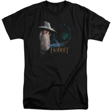 Load image into Gallery viewer, The Hobbit The Door Mens Tall T Shirt Black