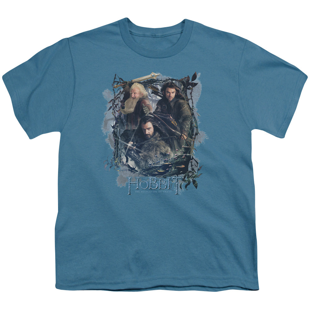 The Hobbit Three Dwarves Kids Youth T Shirt Slate