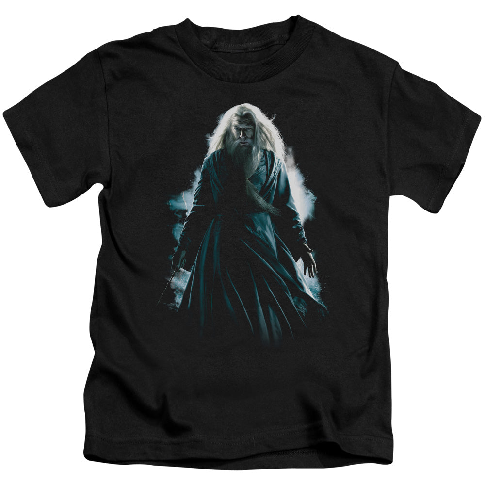 Harry Potter Dumbledore Burst Juvenile Kids Youth T Shirt Black