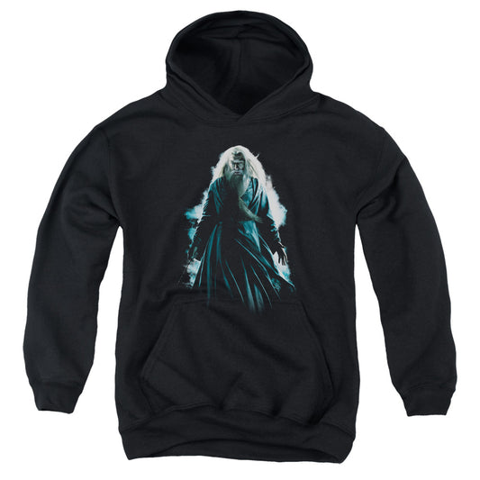 Harry Potter Dumbledore Burst Kids Youth Hoodie Black