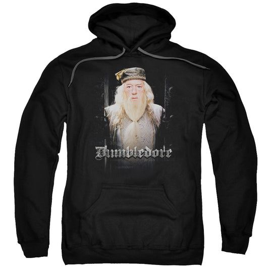Harry Potter Dumble Doors Mens Hoodie Black