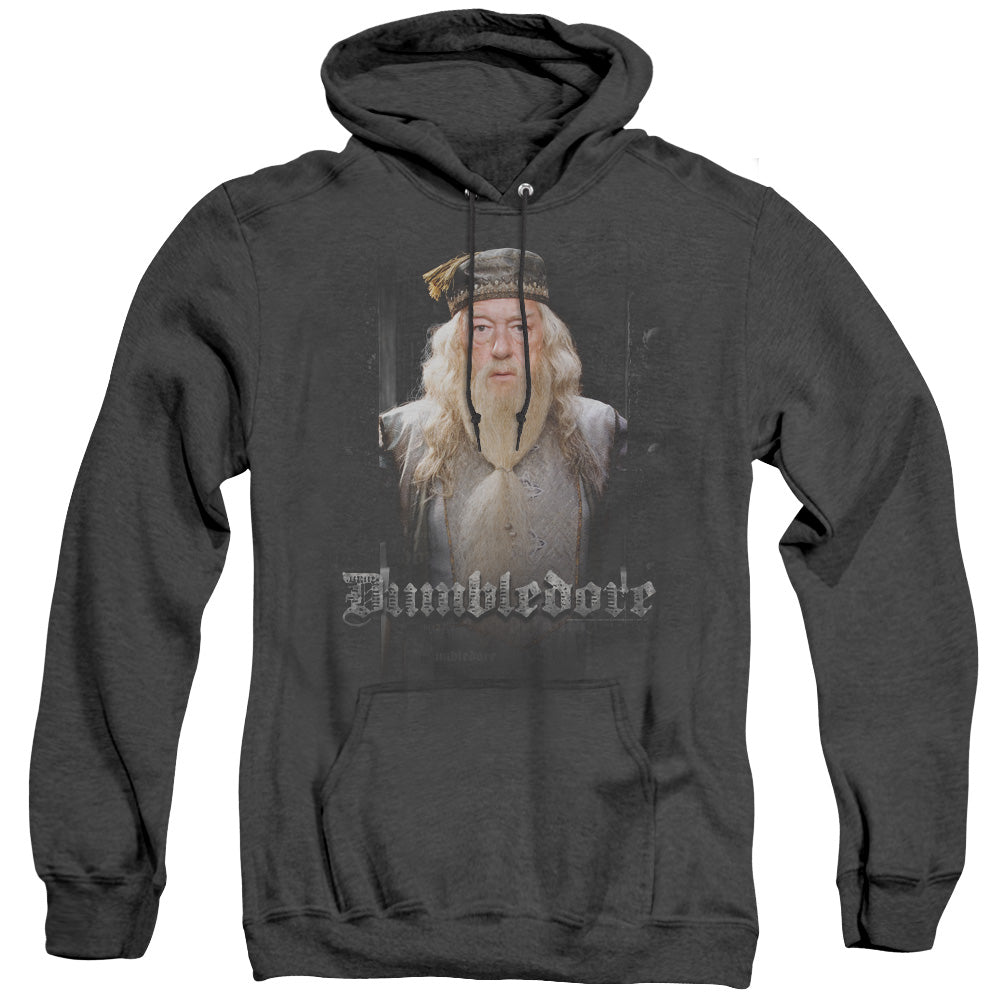 Harry Potter Dumble Doors Heather Mens Hoodie Black