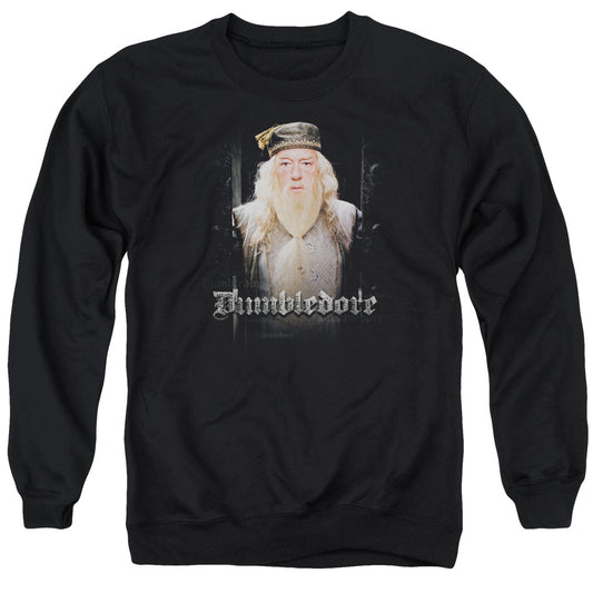 Harry Potter Dumble Doors Mens Crewneck Sweatshirt Black