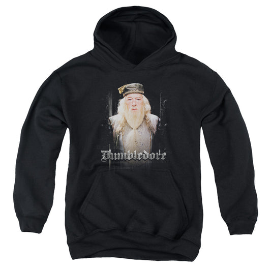 Harry Potter Dumble Doors Kids Youth Hoodie Black