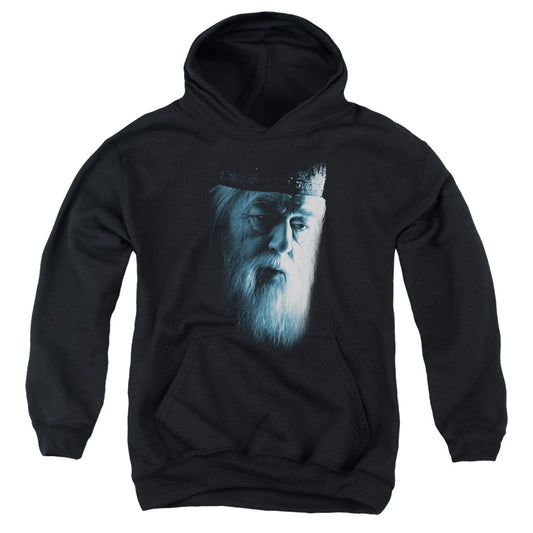 Harry Potter Dumbledore Face Kids Youth Hoodie Black