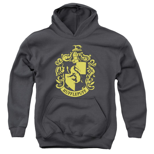 Harry Potter Hufflepuff Crest Kids Youth Hoodie Charcoal