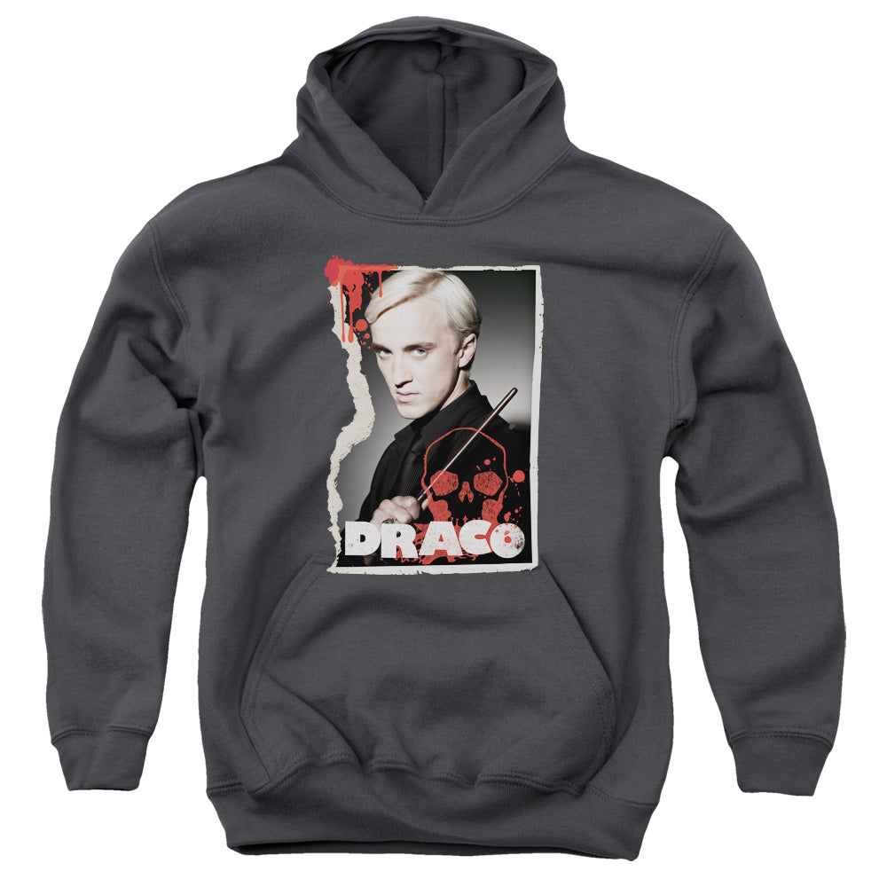 Harry Potter Draco Frame Kids Youth Hoodie Charcoal