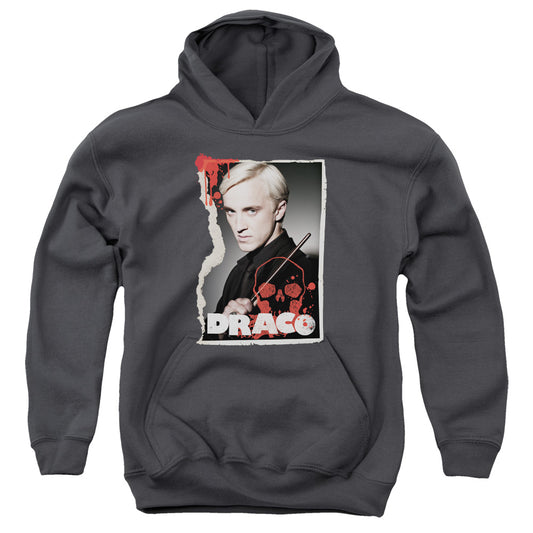 Harry Potter Draco Frame Kids Youth Hoodie Charcoal