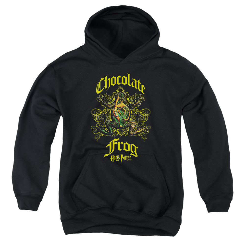 Harry Potter Chocolate Frog Kids Youth Hoodie Black