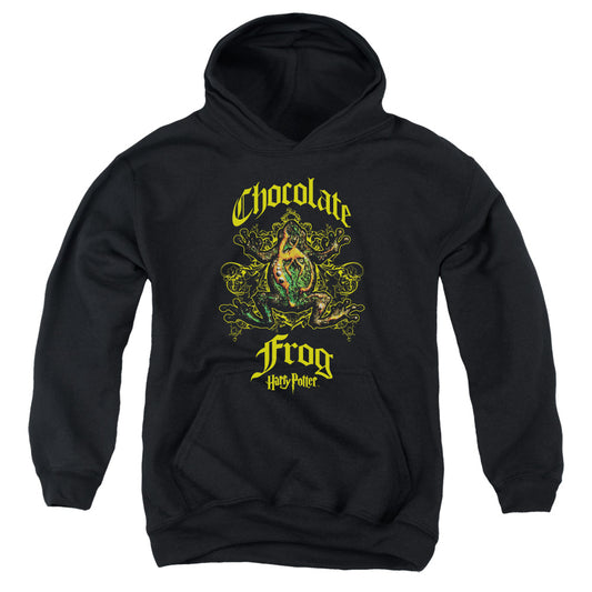 Harry Potter Chocolate Frog Kids Youth Hoodie Black