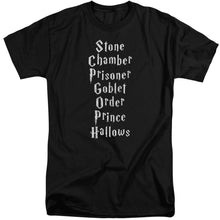 Load image into Gallery viewer, Harry Potter Titles Mens Tall T Shirt Black