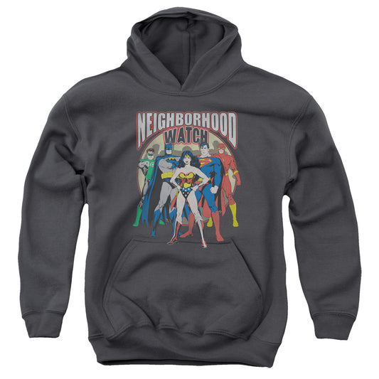 Justice League Neighborhood Watch Kids Youth Hoodie Charcoal