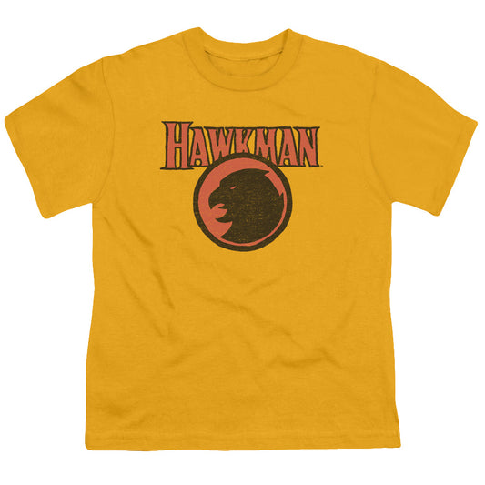 Justice League Rough Hawk Kids Youth T Shirt Gold