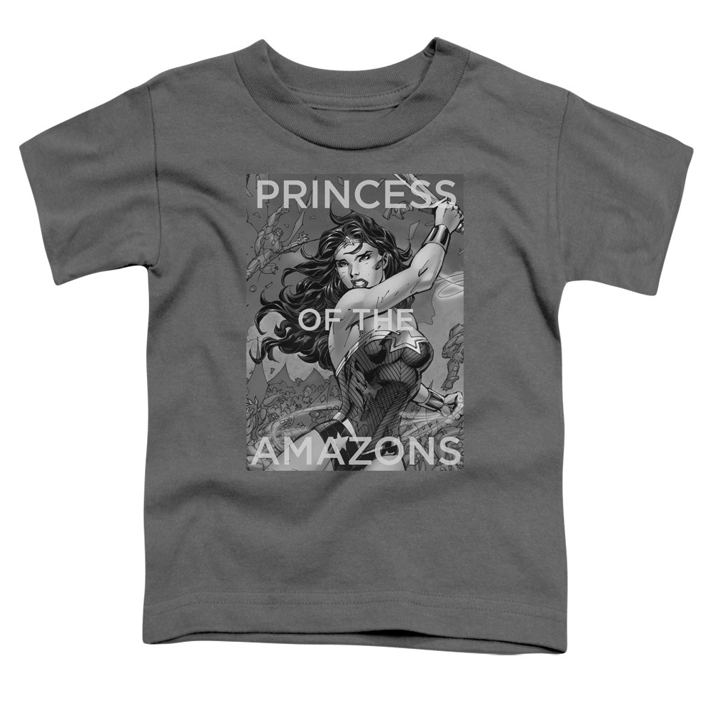 Justice League Princess of the Amazons Toddler Kids Youth T Shirt Charcoal