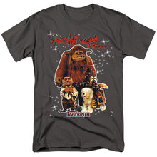 Load image into Gallery viewer, Labyrinth Should You Need Us Mens T Shirt Charcoal