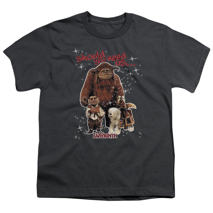 Labyrinth Should You Need Us Kids Youth T Shirt Charcoal