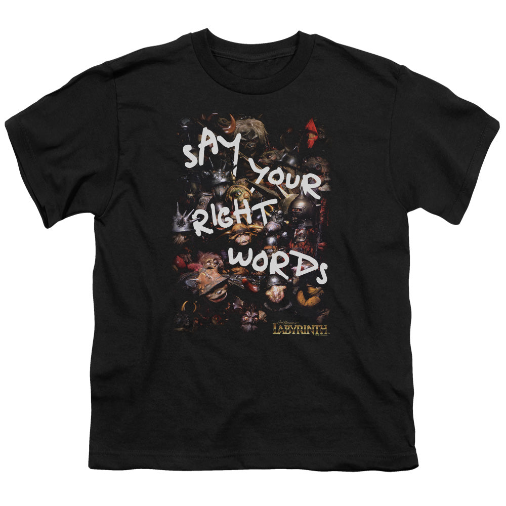Labyrinth Right Words Kids Youth T Shirt Black