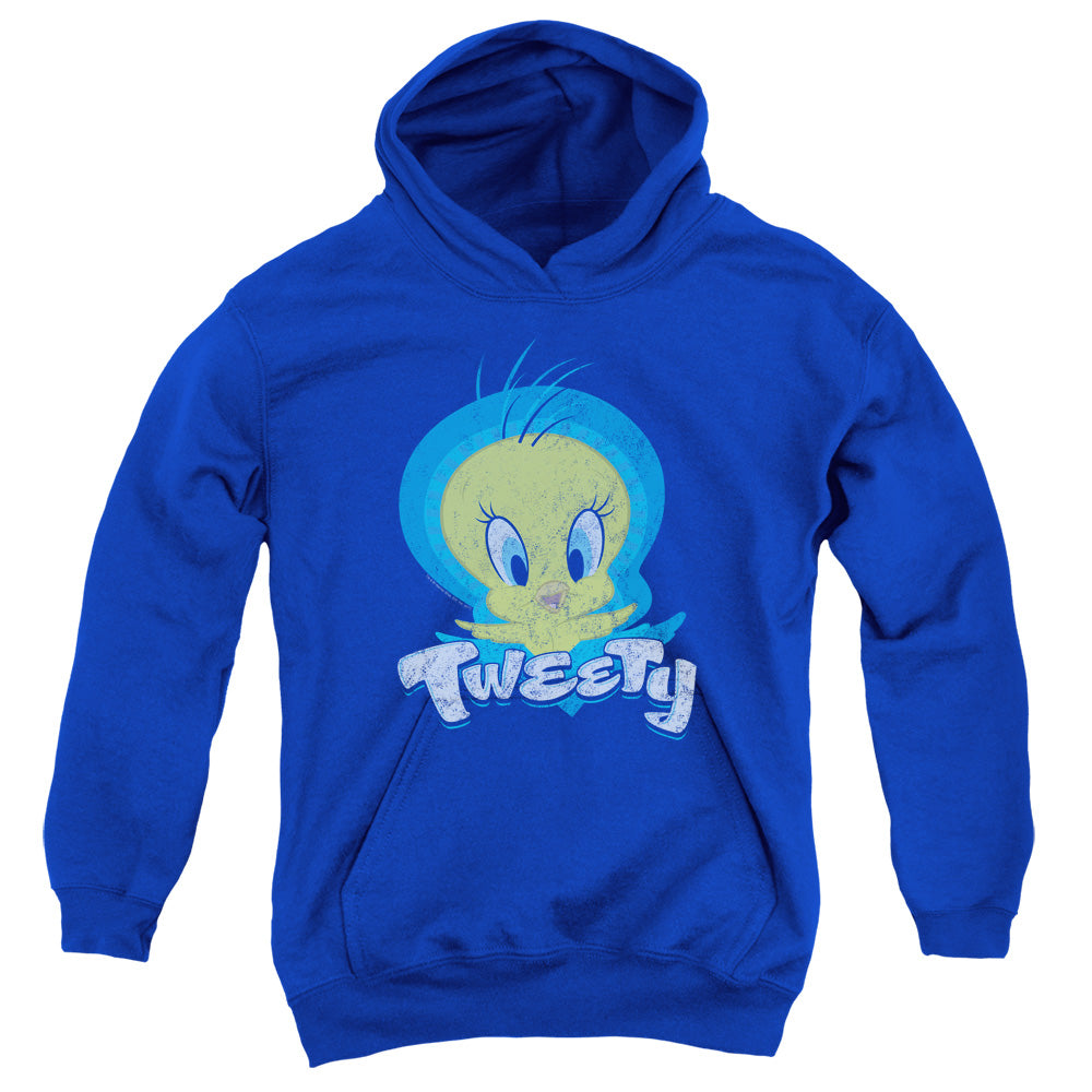 Looney Tunes Tweety Swirl Kids Youth Hoodie Royal Blue