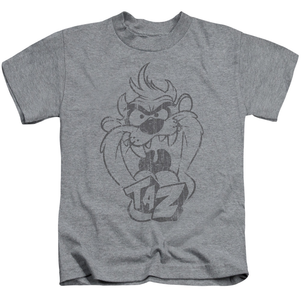 Looney Tunes Faded Taz Juvenile Kids Youth T Shirt Athletic Heather
