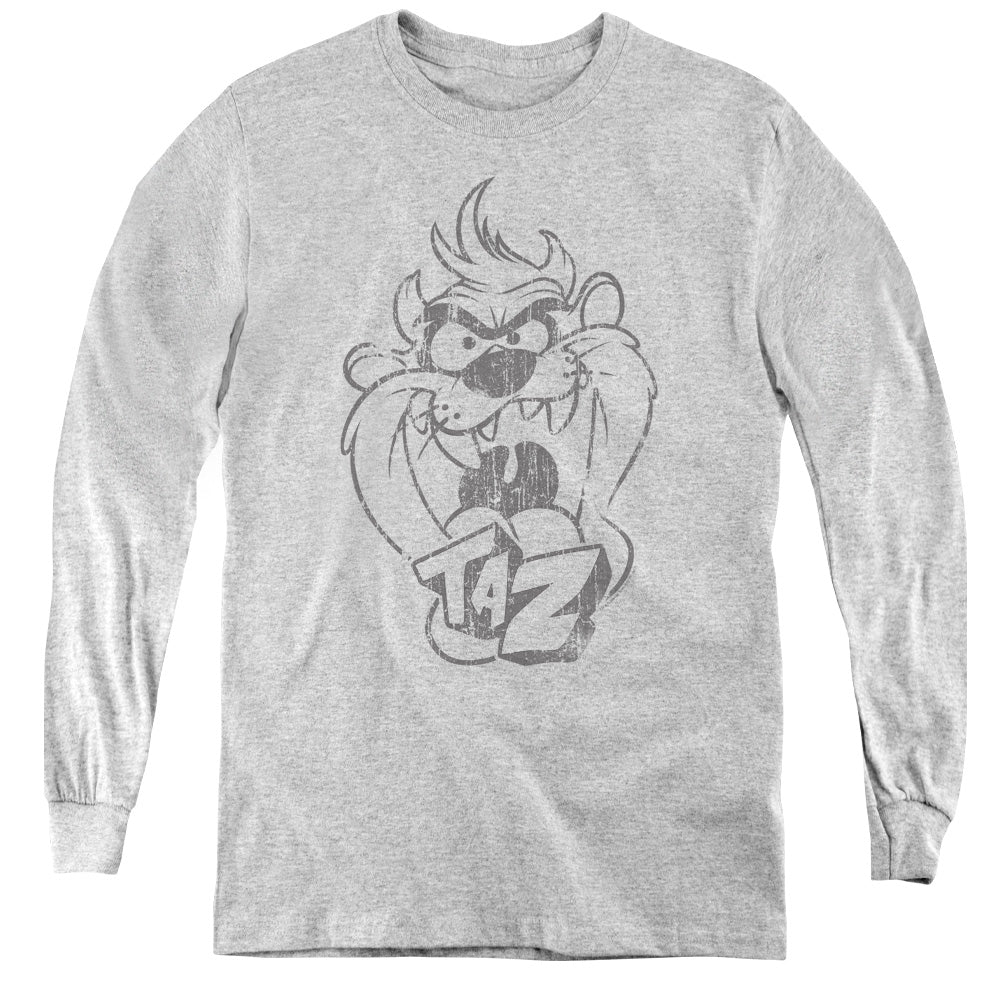 Looney Tunes Faded Taz Long Sleeve Kids Youth T Shirt Athletic Heather