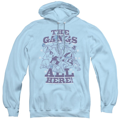 Looney Tunes Blue Gang Mens Hoodie Light Blue