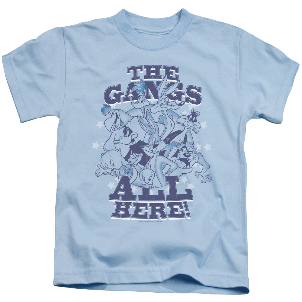 Looney Tunes Blue Gang Juvenile Kids Youth T Shirt Light Blue