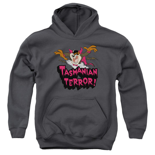 Looney Tunes Taz Terror Kids Youth Hoodie Charcoal