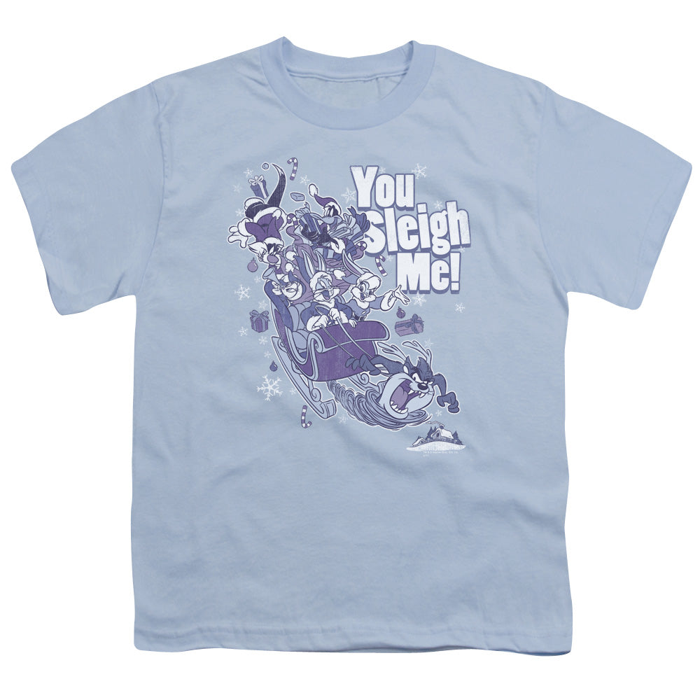 Looney Tunes You Sleigh Me Kids Youth T Shirt Light Blue